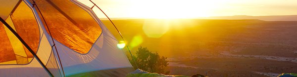2023-08_disco-campout_web-feature.jpg