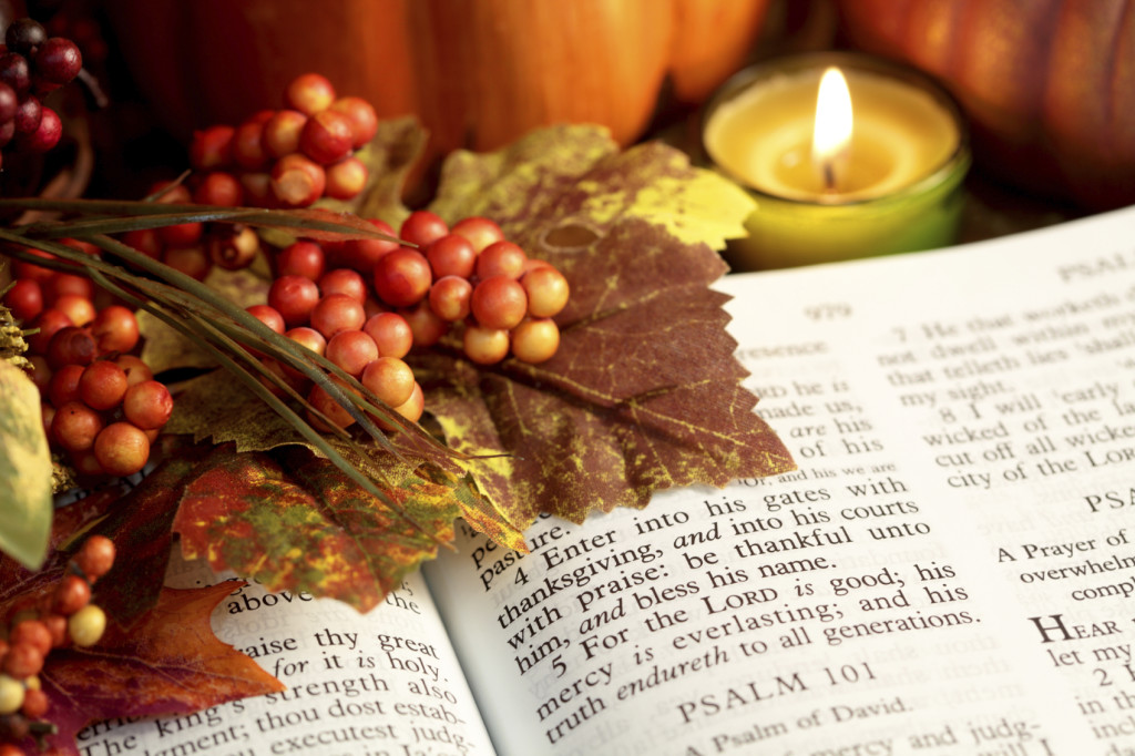 iStock_000010355993_Medium